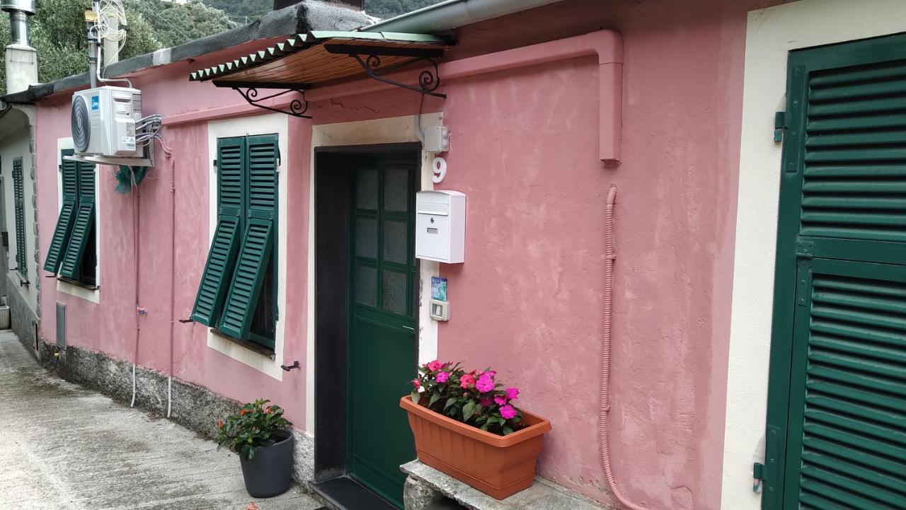 La Casa Di Andrea Apartment
